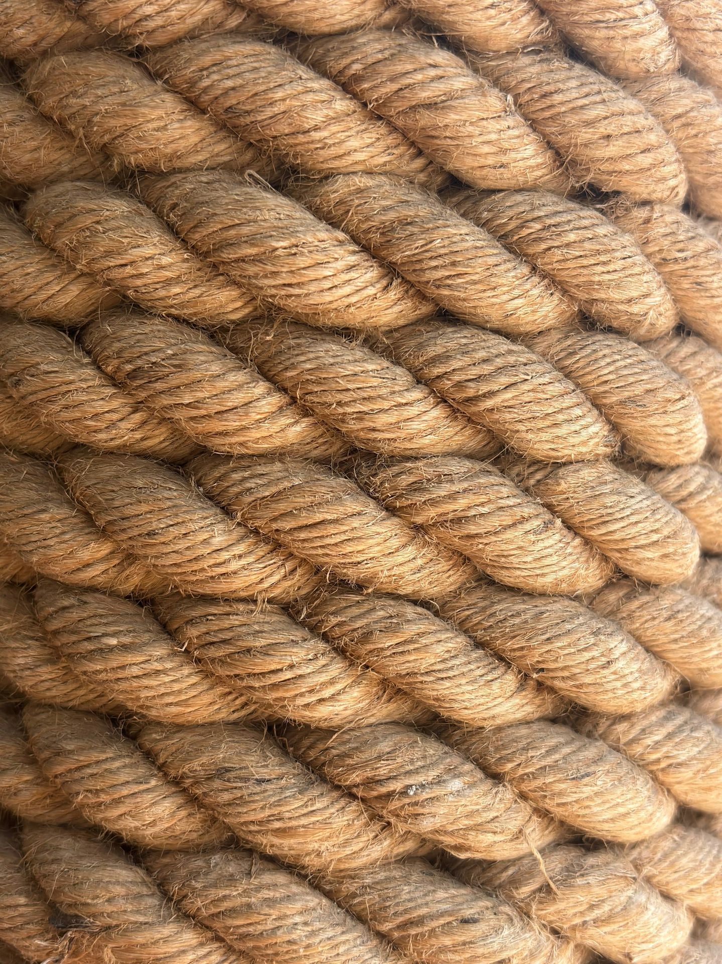 Close-up of thick, coiled rope.